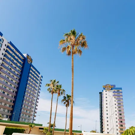 Dream 1 Bedroom Terrace Dining Pool In By Aqua Vista Tenerife * Costa Adeje (Tenerife)