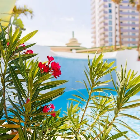 Lejlighed Dream 1 Bedroom Terrace Dining Pool In By Aqua Vista Tenerife